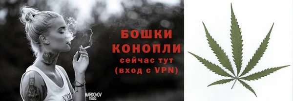 мяу мяу мука Няндома